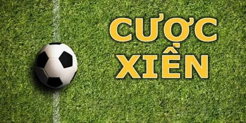 Cược xâu là gì? Những thông tin bạn cần nắm được khi cược xâu 5 Anh em không nên ham cược xâu quá nhiều trận đấu