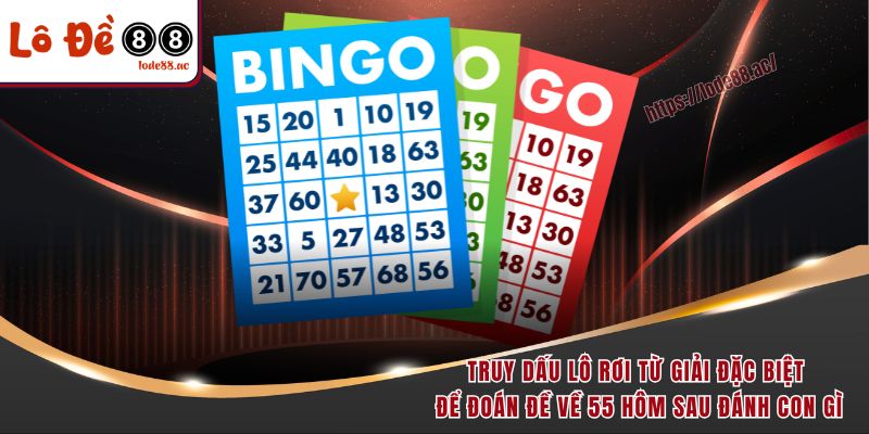 Đề Về 55 Hôm Sau Đánh Con Gì - Các Chiến Thuật Hay Nhất 2025 2 Truy dấu lô rơi từ giải đặc biệt để đoán đề về 55 hôm sau đánh con gì